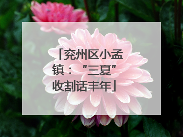 兖州区小孟镇：“三夏”收割话丰年