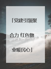 党建引领聚合力 红色物业暖民心