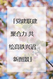 党建联建聚合力 共绘高铁兴诏新图景