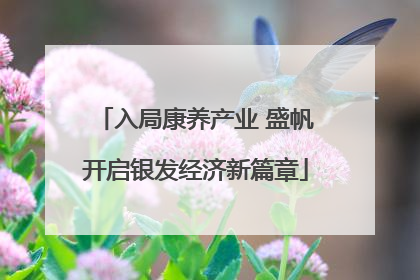 入局康养产业 盛帆开启银发经济新篇章