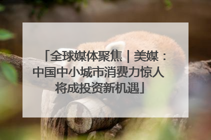 全球媒体聚焦｜美媒：中国中小城市消费力惊人 将成投资新机遇