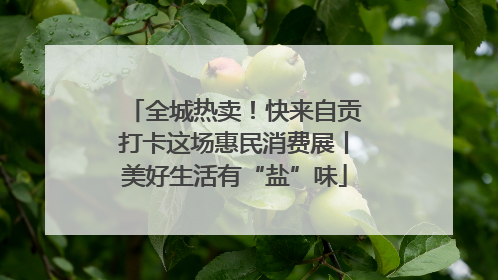 全城热卖！快来自贡打卡这场惠民消费展丨美好生活有“盐”味