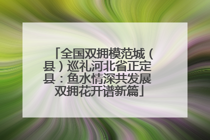 全国双拥模范城（县）巡礼河北省正定县：鱼水情深共发展 双拥花开谱新篇