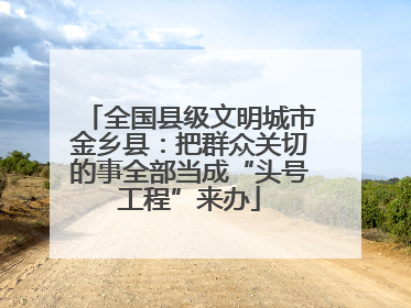 全国县级文明城市金乡县：把群众关切的事全部当成“头号工程”来办