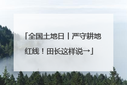 全国土地日丨严守耕地红线！田长这样说→