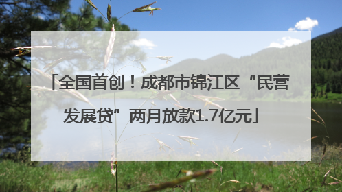 全国首创！成都市锦江区“民营发展贷”两月放款1.7亿元