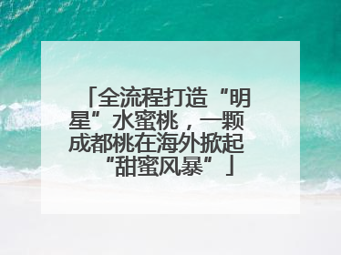 全流程打造“明星”水蜜桃，一颗成都桃在海外掀起“甜蜜风暴”