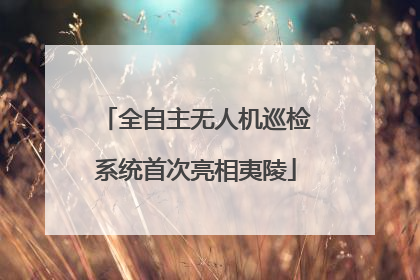 全自主无人机巡检系统首次亮相夷陵