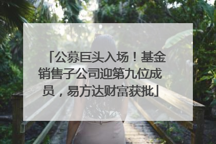 公募巨头入场！基金销售子公司迎第九位成员，易方达财富获批