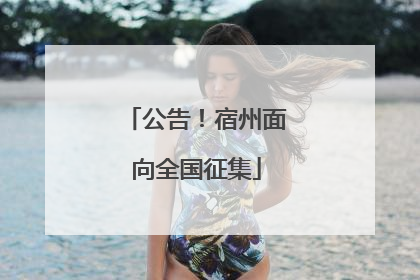公告！宿州面向全国征集