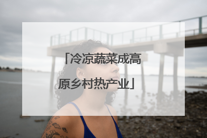 冷凉蔬菜成高原乡村热产业