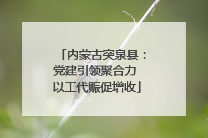 内蒙古突泉县：党建引领聚合力 以工代赈促增收