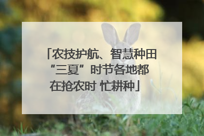 农技护航、智慧种田 “三夏”时节各地都在抢农时 忙耕种