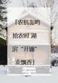 农机轰鸣抢农时 湖滨“开镰”麦飘香