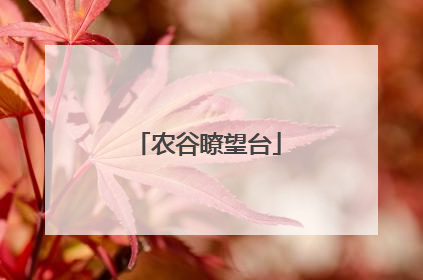 农谷瞭望台