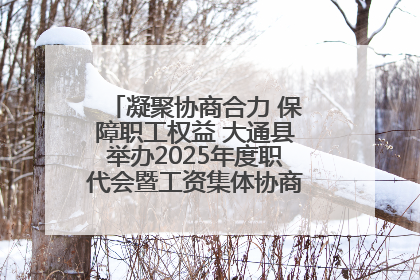 凝聚协商合力 保障职工权益 大通县举办2025年度职代会暨工资集体协商现场观摩交流活动