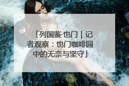列国鉴·也门｜记者观察：也门咖啡园中的无奈与坚守
