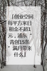 创业空间每平方米日租金不超1元，浦东“青创15条”满月带来什么