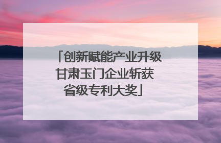 创新赋能产业升级 甘肃玉门企业斩获省级专利大奖