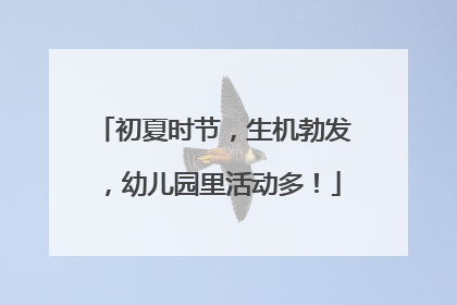初夏时节，生机勃发，幼儿园里活动多！