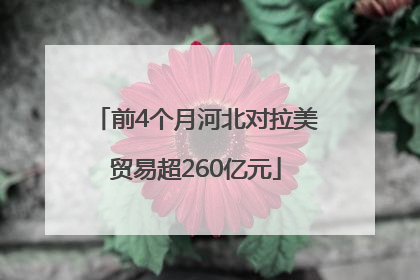 前4个月河北对拉美贸易超260亿元