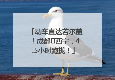 动车直达若尔盖！成都⇄西宁，4.5小时跑拢！