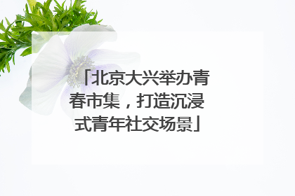 北京大兴举办青春市集，打造沉浸式青年社交场景