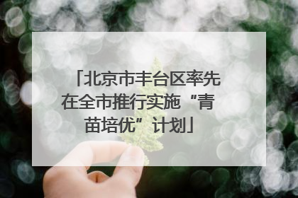 北京市丰台区率先在全市推行实施“青苗培优”计划