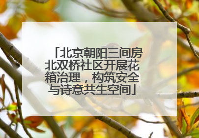 北京朝阳三间房北双桥社区开展花箱治理，构筑安全与诗意共生空间