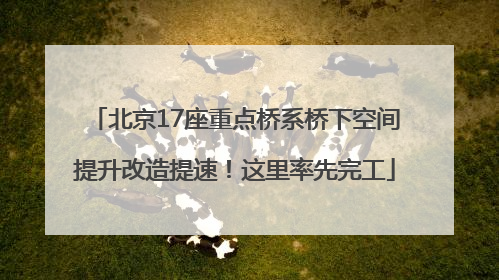 北京17座重点桥系桥下空间提升改造提速！这里率先完工