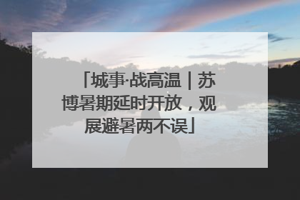 城事·战高温｜苏博暑期延时开放，观展避暑两不误