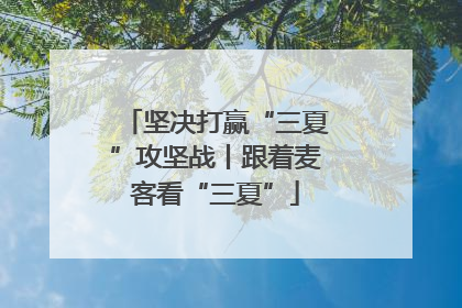 坚决打赢“三夏”攻坚战丨跟着麦客看“三夏”