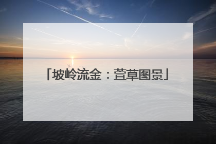坡岭流金：萱草图景