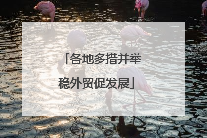 各地多措并举稳外贸促发展