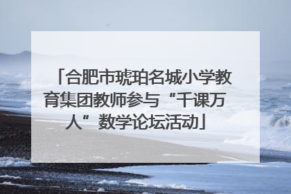 合肥市琥珀名城小学教育集团教师参与“千课万人”数学论坛活动