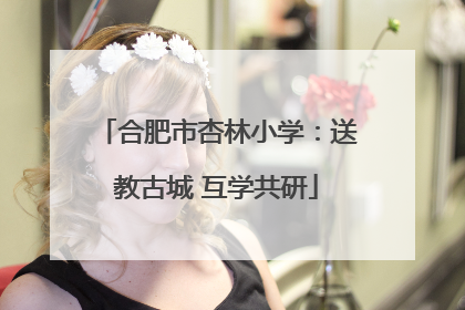 合肥市杏林小学：送教古城 互学共研