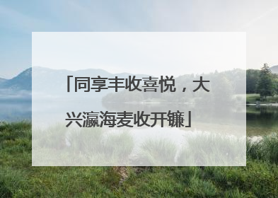 同享丰收喜悦，大兴瀛海麦收开镰