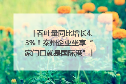 吞吐量同比增长4.3%！泰州企业坐享“家门口就是国际港”
