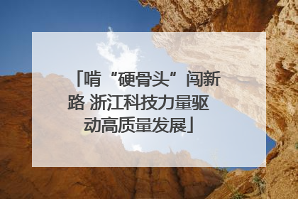 啃“硬骨头”闯新路 浙江科技力量驱动高质量发展