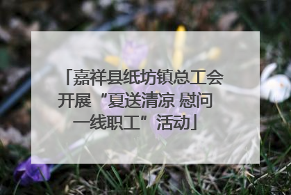 嘉祥县纸坊镇总工会开展“夏送清凉 慰问一线职工”活动