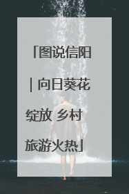 图说信阳｜向日葵花绽放 乡村旅游火热