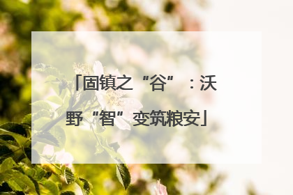 固镇之“谷”：沃野“智”变筑粮安