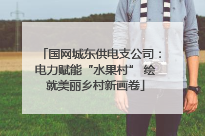 国网城东供电支公司：电力赋能“水果村” 绘就美丽乡村新画卷