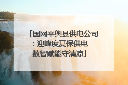 国网平舆县供电公司：迎峰度夏保供电  数智赋能守清凉