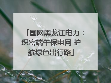 国网黑龙江电力：织密端午保电网 护航绿色出行路