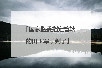 国家监委指定管辖的田玉军，判了