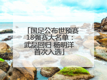 国足公布世预赛18强赛大名单：武磊回归 杨明洋首次入选