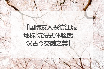 国际友人探访江城地标 沉浸式体验武汉古今交融之美