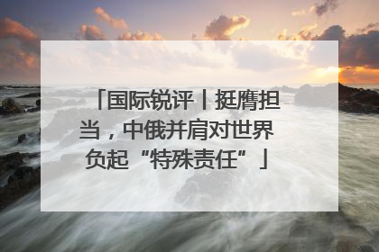国际锐评丨挺膺担当，中俄并肩对世界负起“特殊责任”