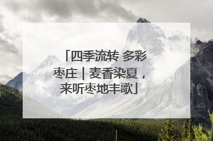 四季流转 多彩枣庄｜麦香染夏，来听枣地丰歌